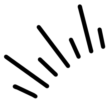 SaPa India