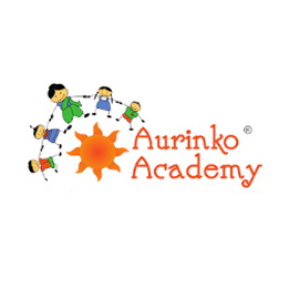 Aurinko Academy